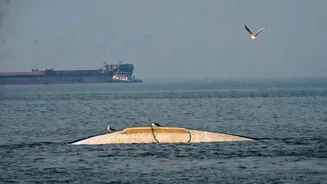 Charge-sheet filed against Navy special officer in Mumbai ferry crash