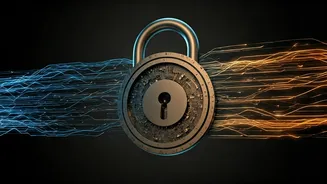 College Work Needs More Verification, Not Less