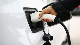 O novo serviço gratuito da Tesla que vai fazer você limpar o carro enquanto abastece