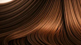 Related Stories banner