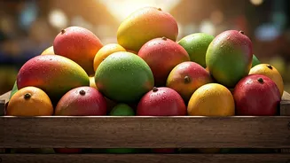 India’s Mango Obsession Is Going Beyond One Name