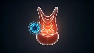 Michael Douglas's Cancer Revelation: Unpacking the HPV Link to Throat Cancer