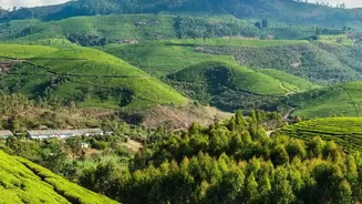 A November Break in South India: How Munnar and Ooty Differ for Holidaymakers