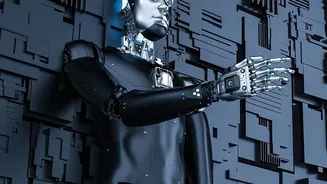 Analysing Complex Repositories Is Easier For Developers Using Offline Local AI Plugins