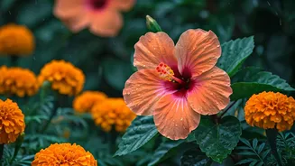 These Easy Plants Flourish During Rainy Days