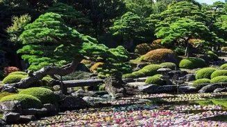 Traveling Across Japan? Make Time For These Iconic Green Havens In Major Cities