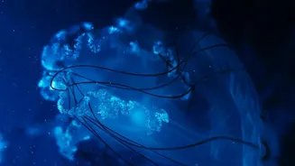 Deep-sea currents: A threat to monsoon
