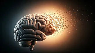 The Mid-20s Shift: Understanding 'Frontal Lobe Breakups' and Relationship Evolution