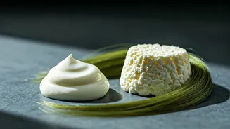 Curd vs. Yoghurt: Your Ultimate Summer Haircare Showdown