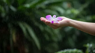 Monsoon Beauty Gets Better With Simple Fixes