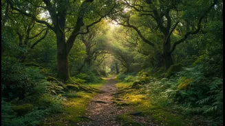 Green Landscapes Await Just Beyond Delhi-NCR