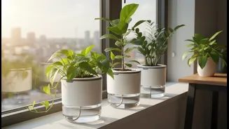 Why Self-Watering Pots Are Becoming Popular Among Apartment Gardeners