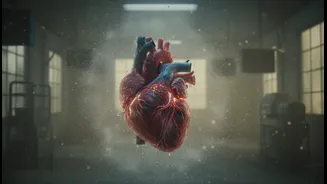 How Poor Indoor Air Quality Combined With High Humidity Intensifies Asthmatic Heart Strain Potentials