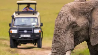Start Your November With A Thrilling Wildlife Safari At These 6 National Parks In India