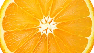 Orange Power: 6 Daily Benefits for Body & Mind