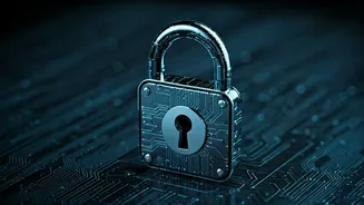 Fortifying Digital Gates: Understanding Website Security Verification