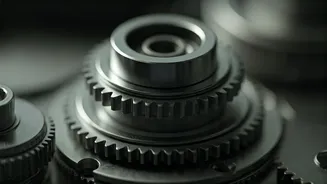 Unlocking the Secrets: Successful Ageing Unveiled