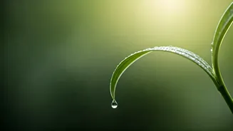 Achieve Ultimate Focus Joining Morning 5 Min Breathing Daily