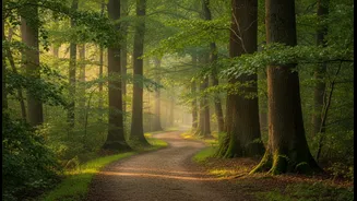 Why Short Structured Outdoor Walks Immediately Following Workouts Boost Post-Exercise Cognitive Performance