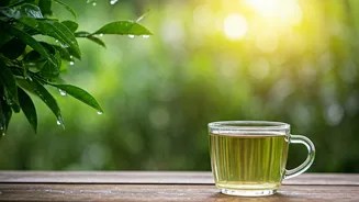 Cooled Green Tea Water Gives Foliage An Incredible Nutrient Kick