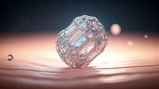 Ceramides Could Be Your Skin's Best Friend