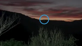 O que se sabe sobre suposto OVNI filmado por influencer no Paraná?