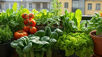 Small-Space Gardening Needs Smarter Plant Choices
