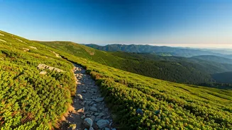 Conquer the Peaks: Top Beginner-Friendly Summer Treks in South India for 2026