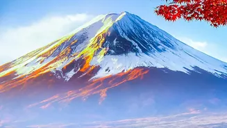 IRCTC Japan Holiday: A Look At The Flights, Hotels, Meals And Experiences Included