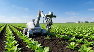 How Edge AI Chips Power Real-Time Weed Recognition In Agricultural Robots
