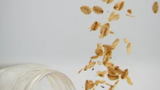 How Fermentable Fiber Foods And Probiotics Enhance Daily Mood And Focus