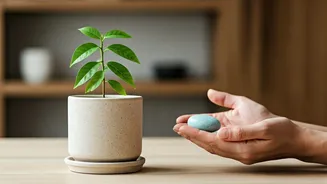 5 Transformative Lessons for Conscious Parenting Inspired by Brahma Kumaris