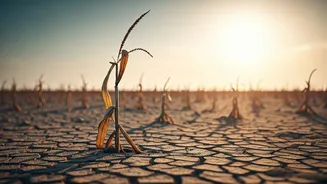 Weak Rains Could Affect Budgets Beyond Travel