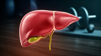 Fatty Liver: 5 Exercises to Reverse the Disease