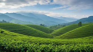 Booking A Monsoon Break? Keep These Rain-Safe Travel Hacks Handy