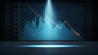 Indian Market Downturn: What's Behind the Drop?
