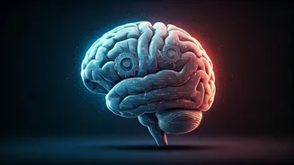 Hiring Flips To Cognitive Partnership Over Basic Coding Skills