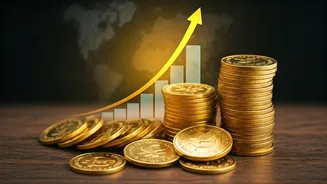 Budget 2026: Expectations, Relief, and Global Impact