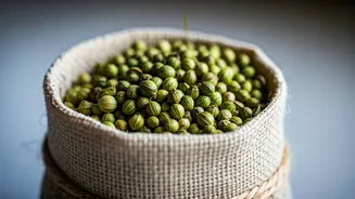 Unblock Your Nose: The Viral Coriander Potli Hack Explained by Experts