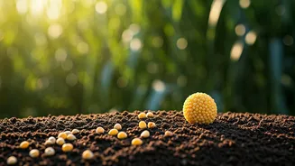 Health-Conscious India Is Keeping Millets Relevant