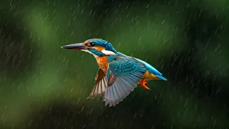 Birdwatchers Love This Time Of Year