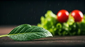 Cold Food Needs A Monsoon Reality Check