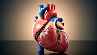 Heart-Healthy Habits: 5 Ways to Fortify Your Arteries