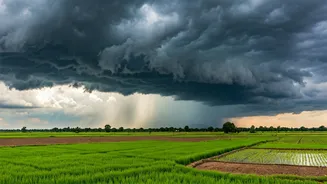East UP Residents Rejoice As Localized Thundershowers Lower Summer Heat