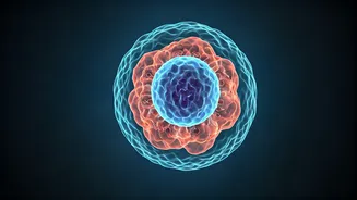 Unlock Your Body's Repair Power: The Science Behind the 7-Hour Sleep Cycle