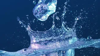 Cold water facial immersion stimulates vagus nerve activity to lower acute stress fast