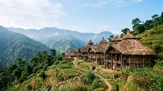 Plan your Nagaland Hornbill trip 2026