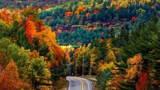 Rain-Ready Hill Road Trips Start With These Essential Car Safety Checks