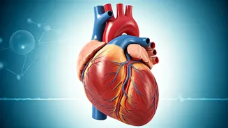 The Omega-3 Guide: Why You Need It!