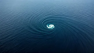 Unveiling the Indian Ocean's Gravity Anomaly